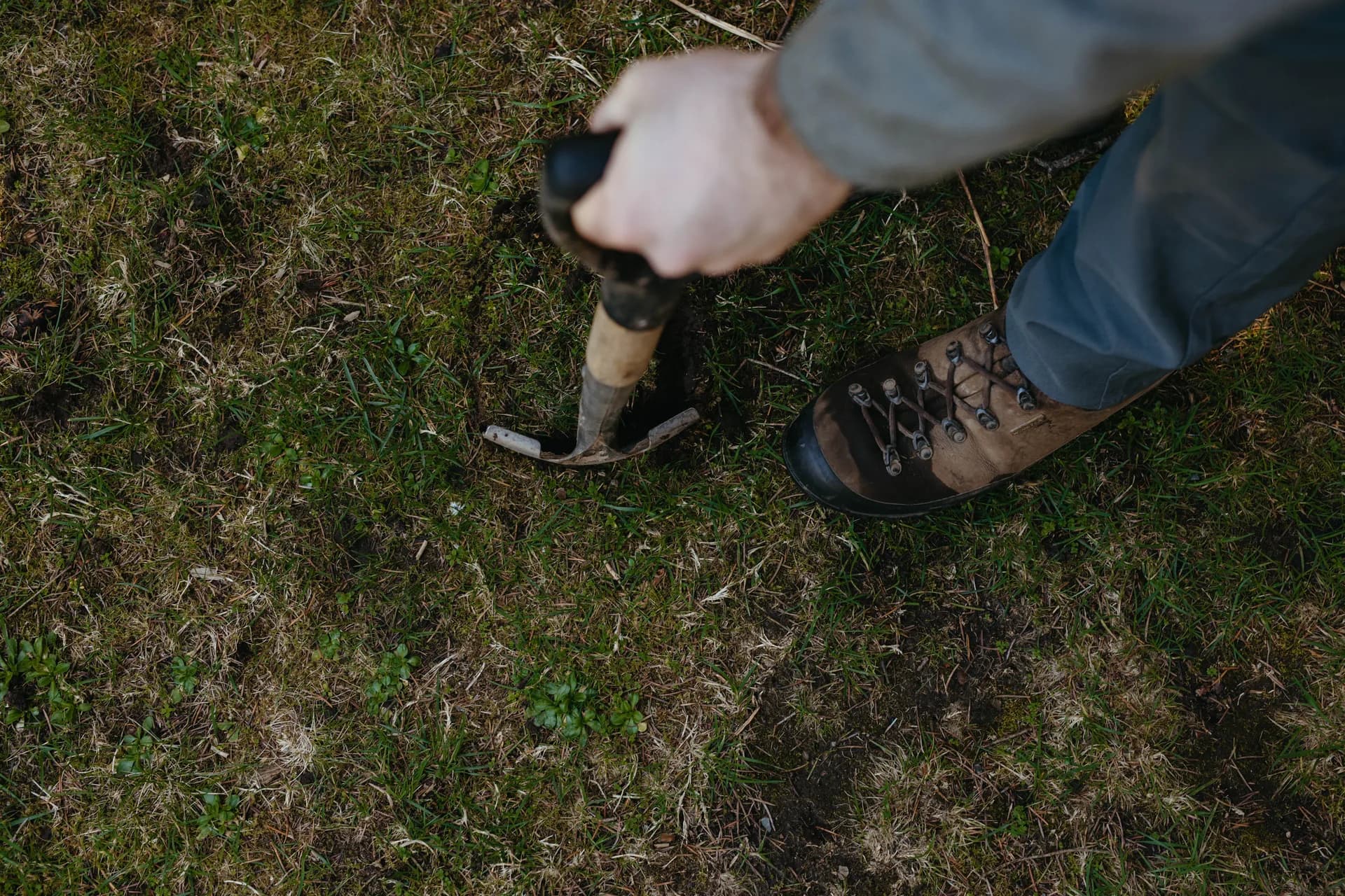 From First Call to Mole-Free Yard. Professional mole control in Western Washington.