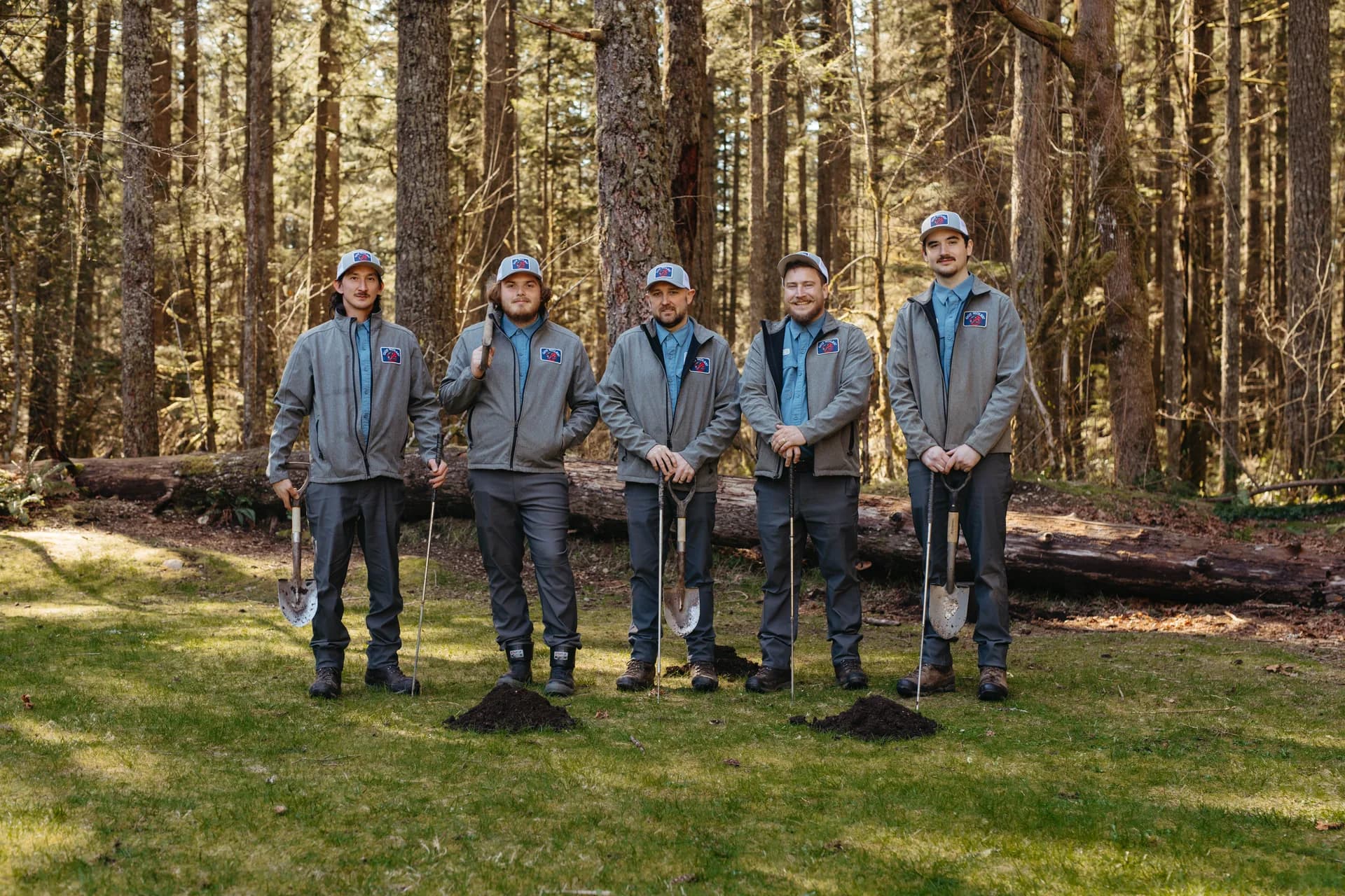 Mole Control Services in Western Washington